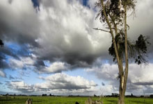 于帕梅卡诺伤缺6周，拜仁欧冠半决赛能否等来他.