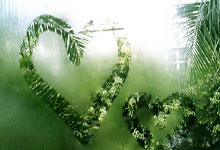 拉斯维加斯：如沸如羹商洛情---女排全运资格赛启示录.