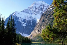 拉斯维加斯:主帅斗法!鬼才卢伟末节祭出一怪招,59岁老帅,一整晚都没能破解.